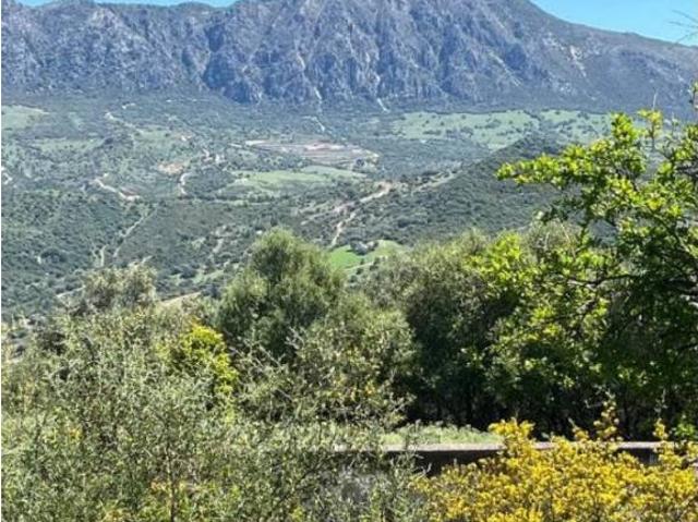 Terreno en Venta en Gaucín