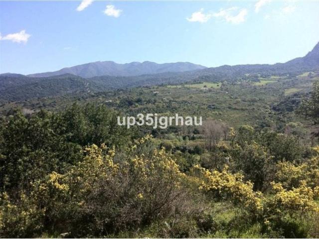 Terreno en Venta en Gaucín