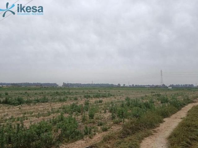 Terreno en venta en Gelves, Andalucia