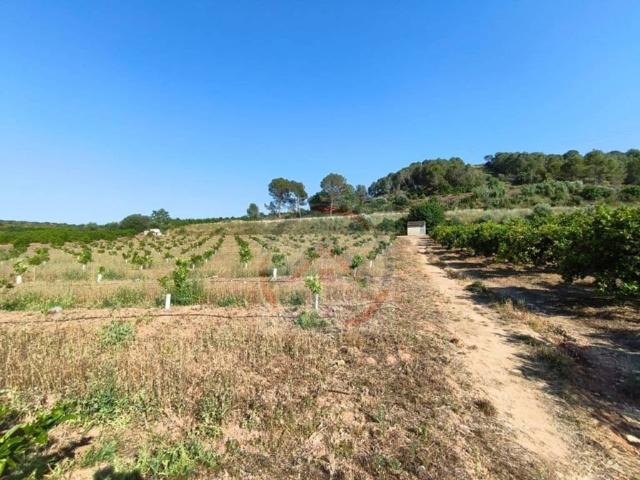 Terreno en Venta en Genovés