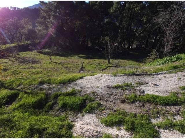 Terreno en Venta en Genalguacil