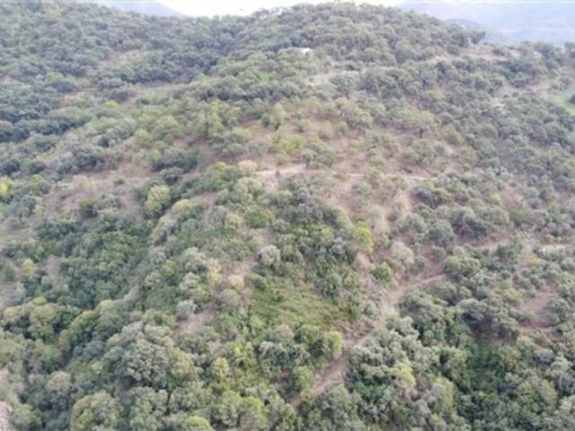 Terreno en Venta en Genalguacil