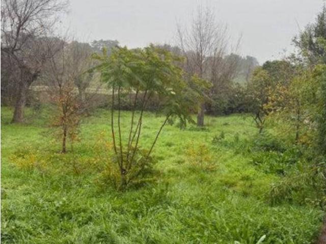 Terreno en Venta en Gerena