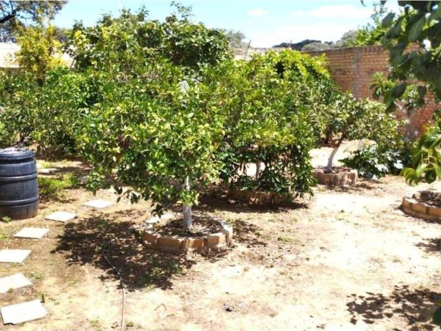 Terreno en Venta en Gerena