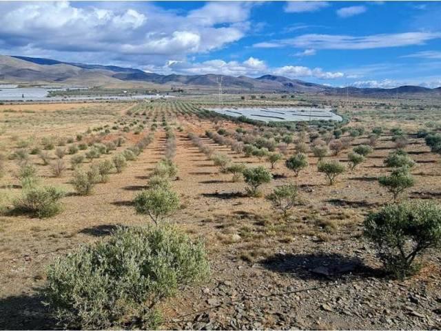 Terreno en Venta en Gérgal