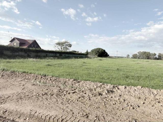 Terreno en Venta en Gibraleón