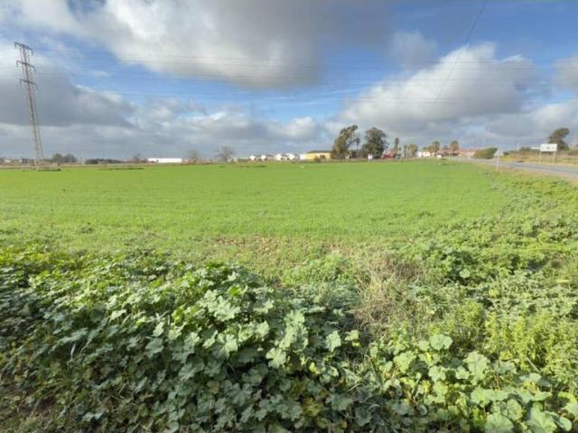 Terreno en Venta en Gibraleón