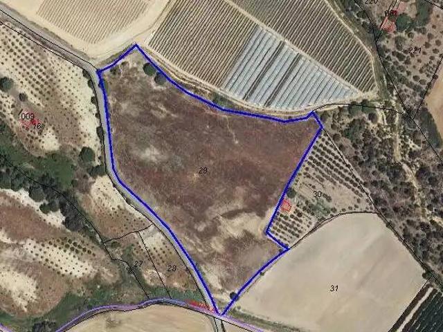 Terreno en Venta en Gibraleón