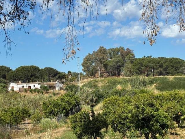 Terreno en venta en Gibraleón, La Calvilla