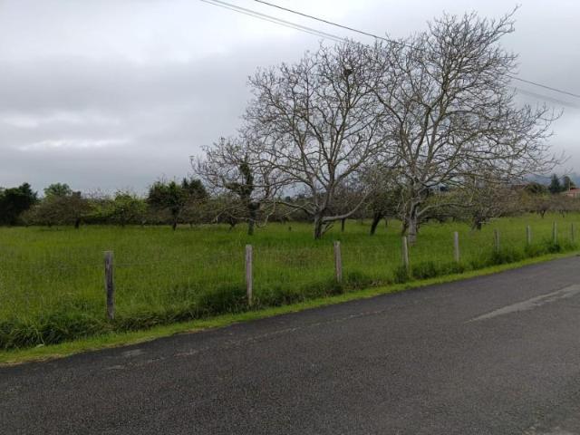 Terreno en venta en Gijón, Gijón