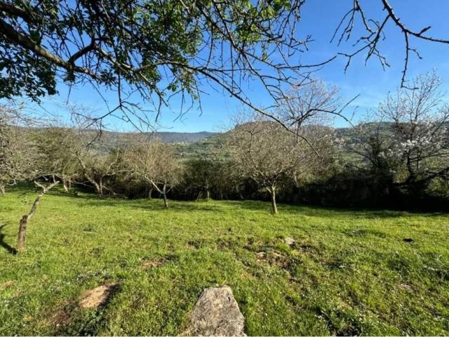 Terreno en Venta en Gijón