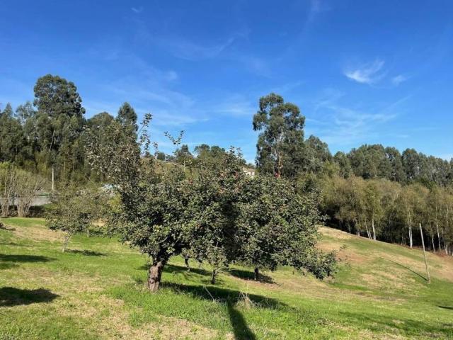 Terreno en Venta en Gijón