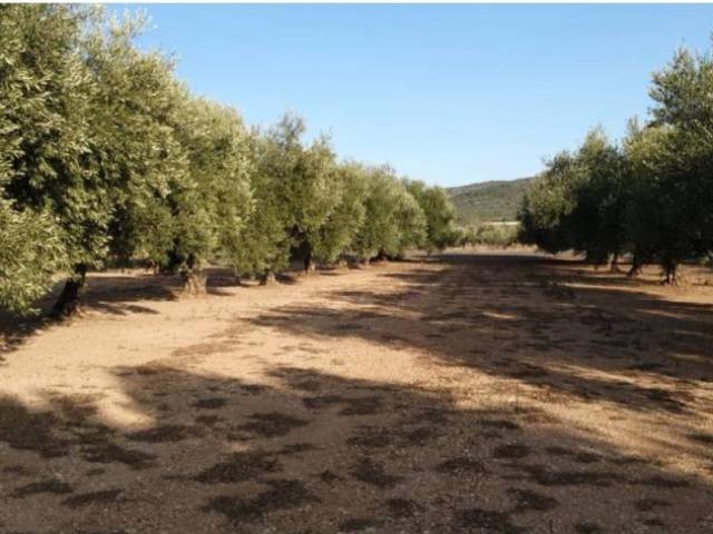 Terreno en Venta en Godall