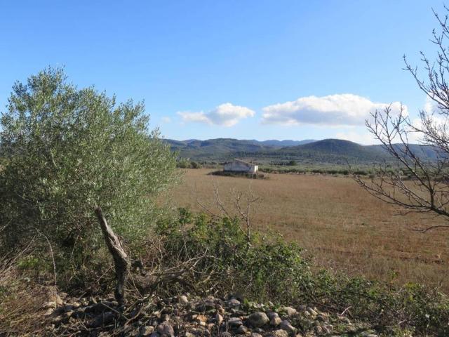 Terreno en Venta en Godall