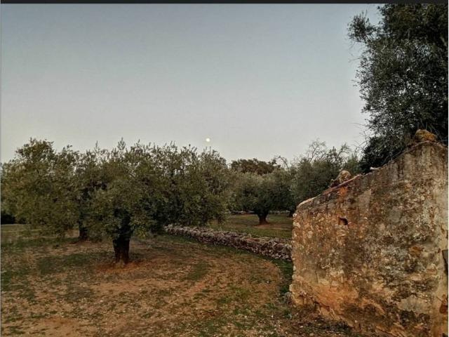 Terreno en Venta en Godall