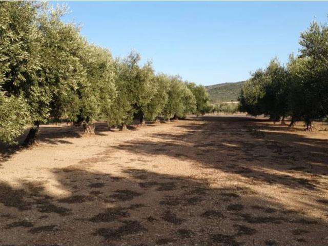 Terreno en venta en Godall