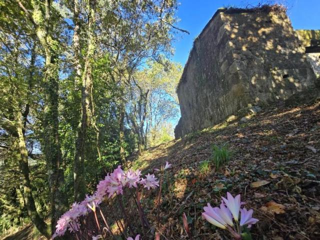 Terreno en venta en Gondomar, GANDARA, 36389