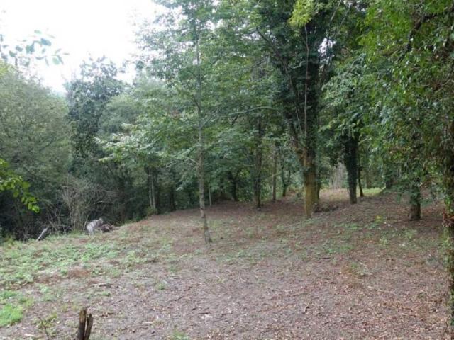 Terreno en Venta en Gondomar