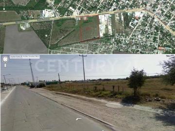 TERRENO EN VENTA EN GONZALEZ