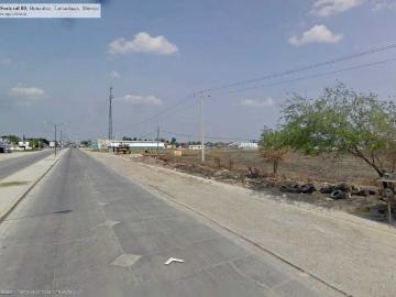 TERRENO EN VENTA EN GONZALEZ