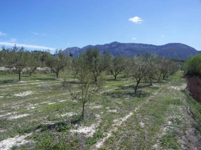 Terreno en Venta en Gorga
