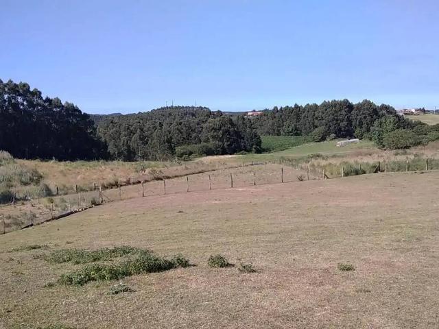 Terreno en Venta en Gozón