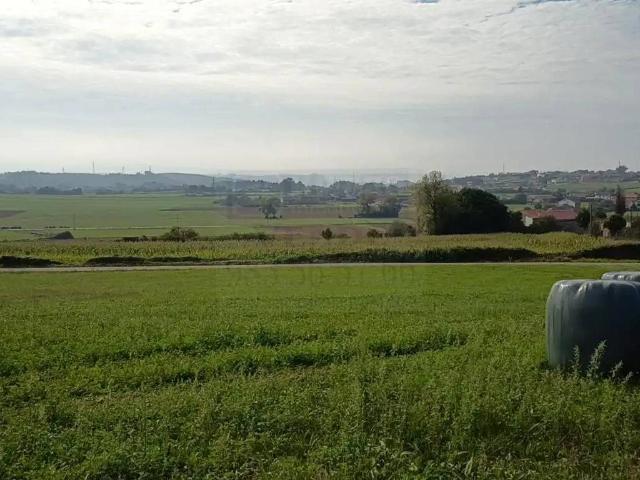Terreno en Venta en Gozón