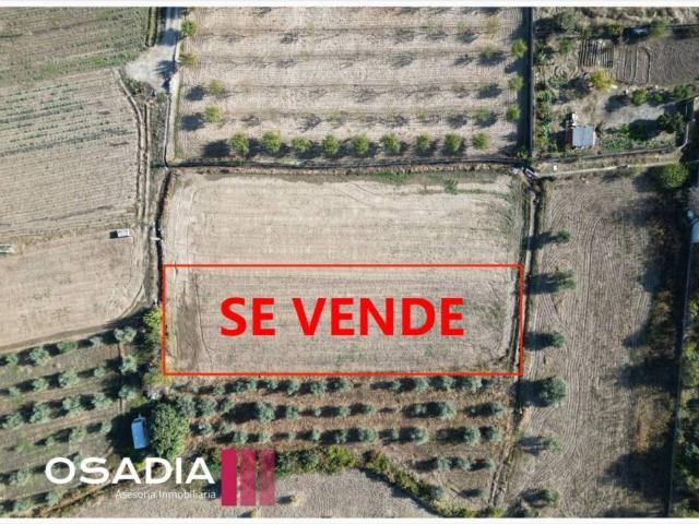 Terreno en Venta en Granada