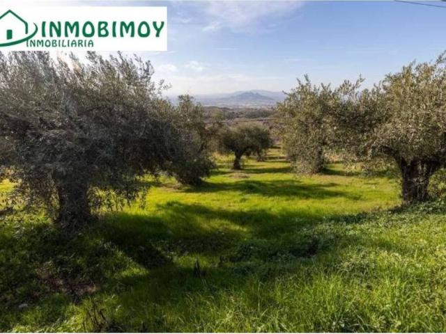 Terreno en Venta en Granada