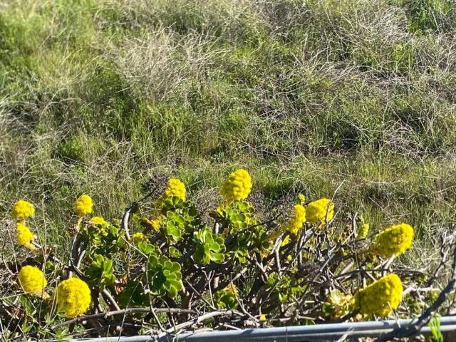 Terreno en Venta en Granadilla de Abona