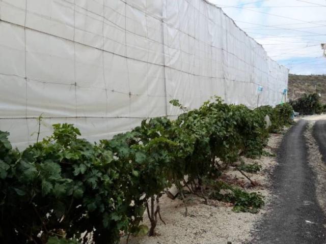 Terreno en Venta en Granadilla de Abona