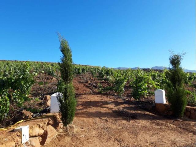 Terreno en Venta en Granadilla de Abona