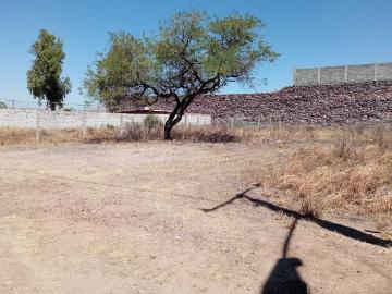 Terreno en venta en Granjas Económicas los Sauces, León, Guanajuato