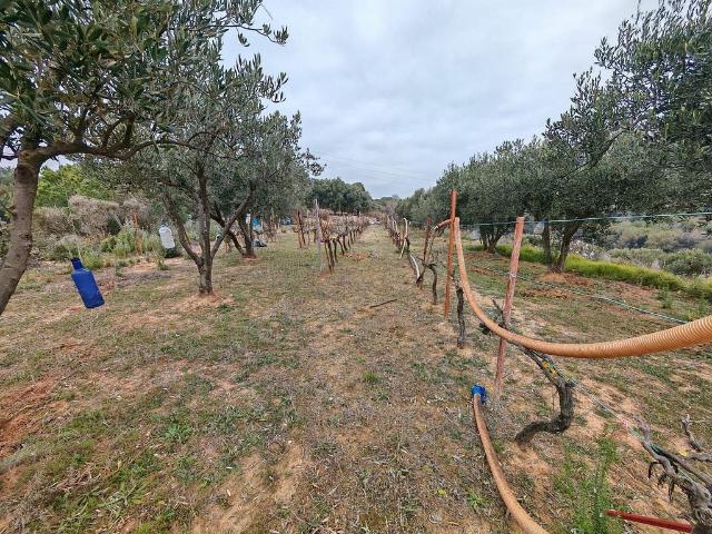 Terreno en venta en Granollers, de 5.256 m² por 210.000