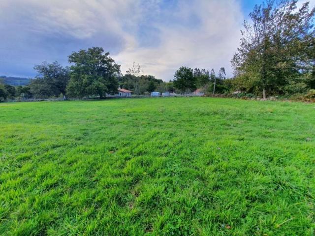 Terreno en venta en Grado, Grado