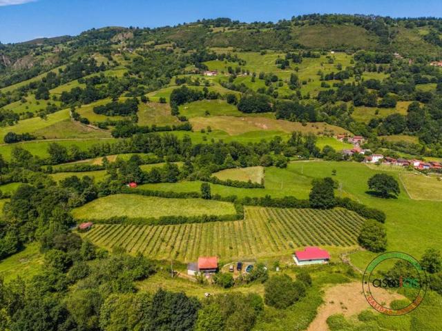 Terreno en Venta en Grado