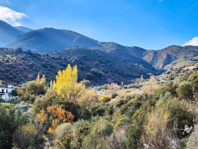 Terreno en Venta en Grazalema