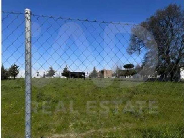 Terreno en Venta en Griñón