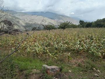 Terreno en Venta en Huánuco 20169 m2