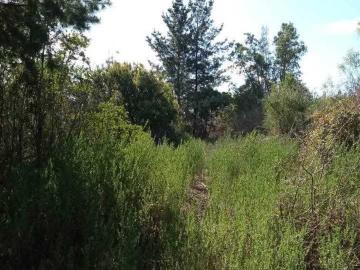 Terreno en Venta en Hualqui