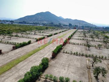 Terreno en venta en Huaral a S/101,400