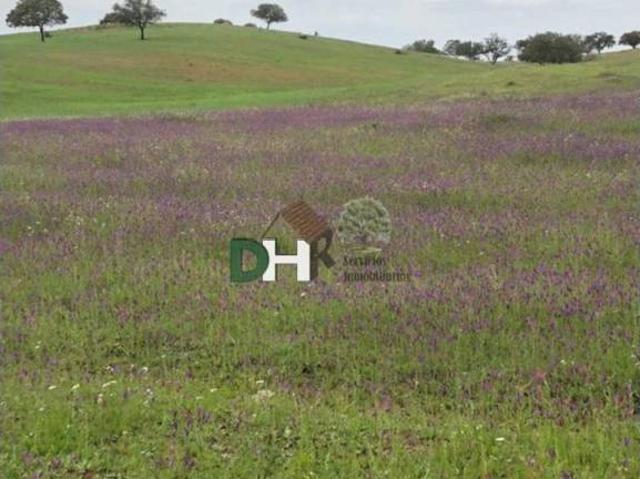 Terreno en Venta en Huelva