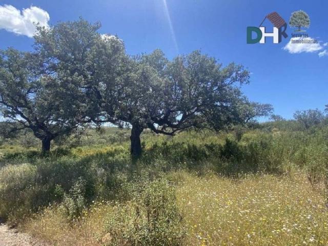 Terreno en Venta en Huelva