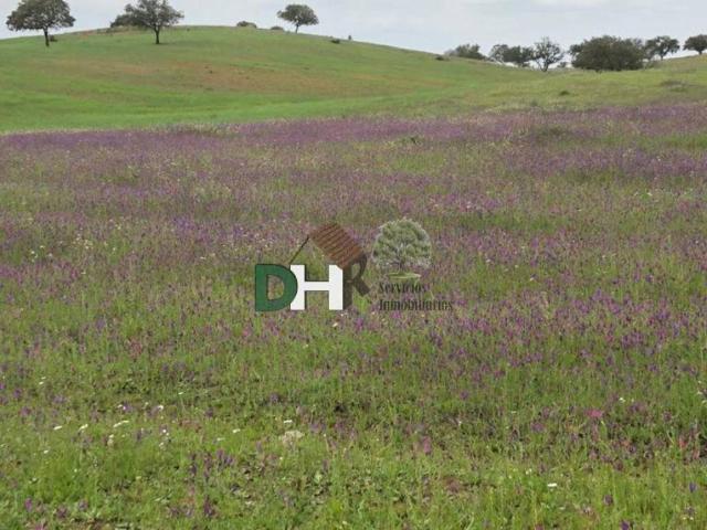 Terreno en Venta en Huelva