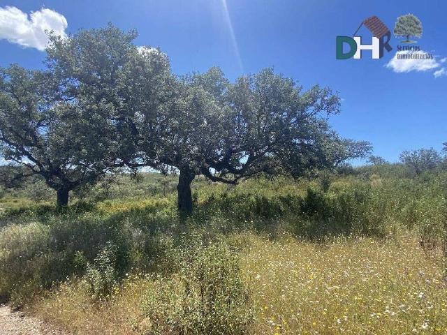 Terreno en Venta en Huelva