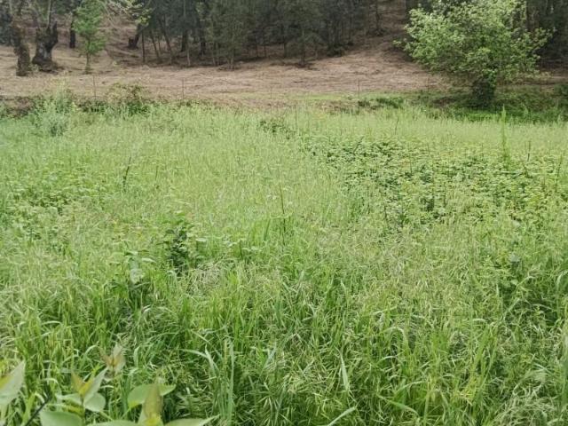 Terreno en venta en Huelva, Los Marines