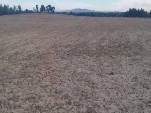Terreno en Venta en Huerta de Rey