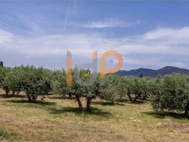Terreno en Venta en Huércal Overa