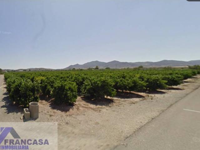 Terreno en Venta en Huércal Overa