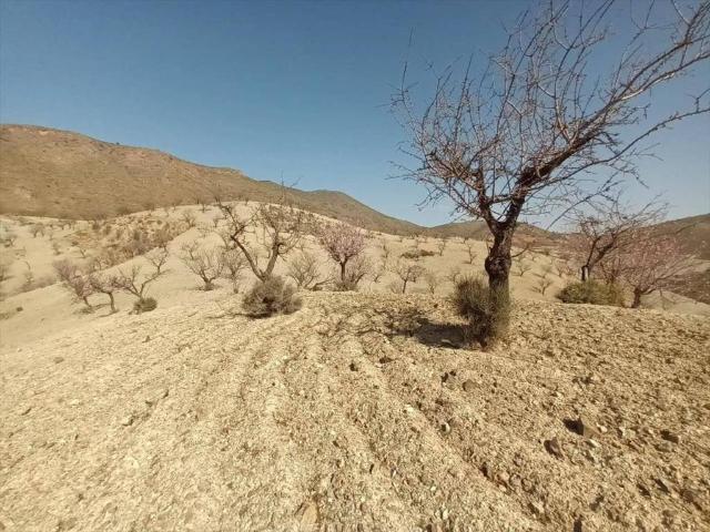 Terreno en Venta en Huércal Overa